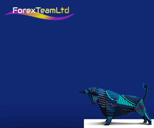 Forex Team LTD